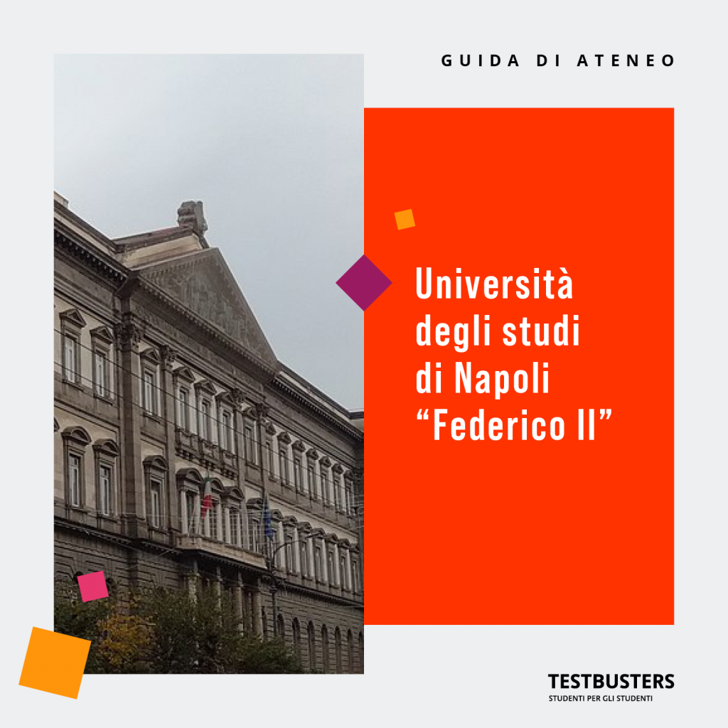 Università degli Studi di Napoli "Federico II"