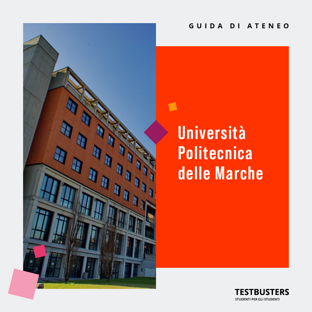 Università degli studi di Ancona